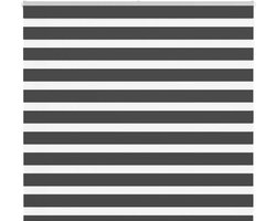vidaXL - Zebra - rolgordijn - 165x100 - cm - stofbreedte - 160,9 - cm - zwart