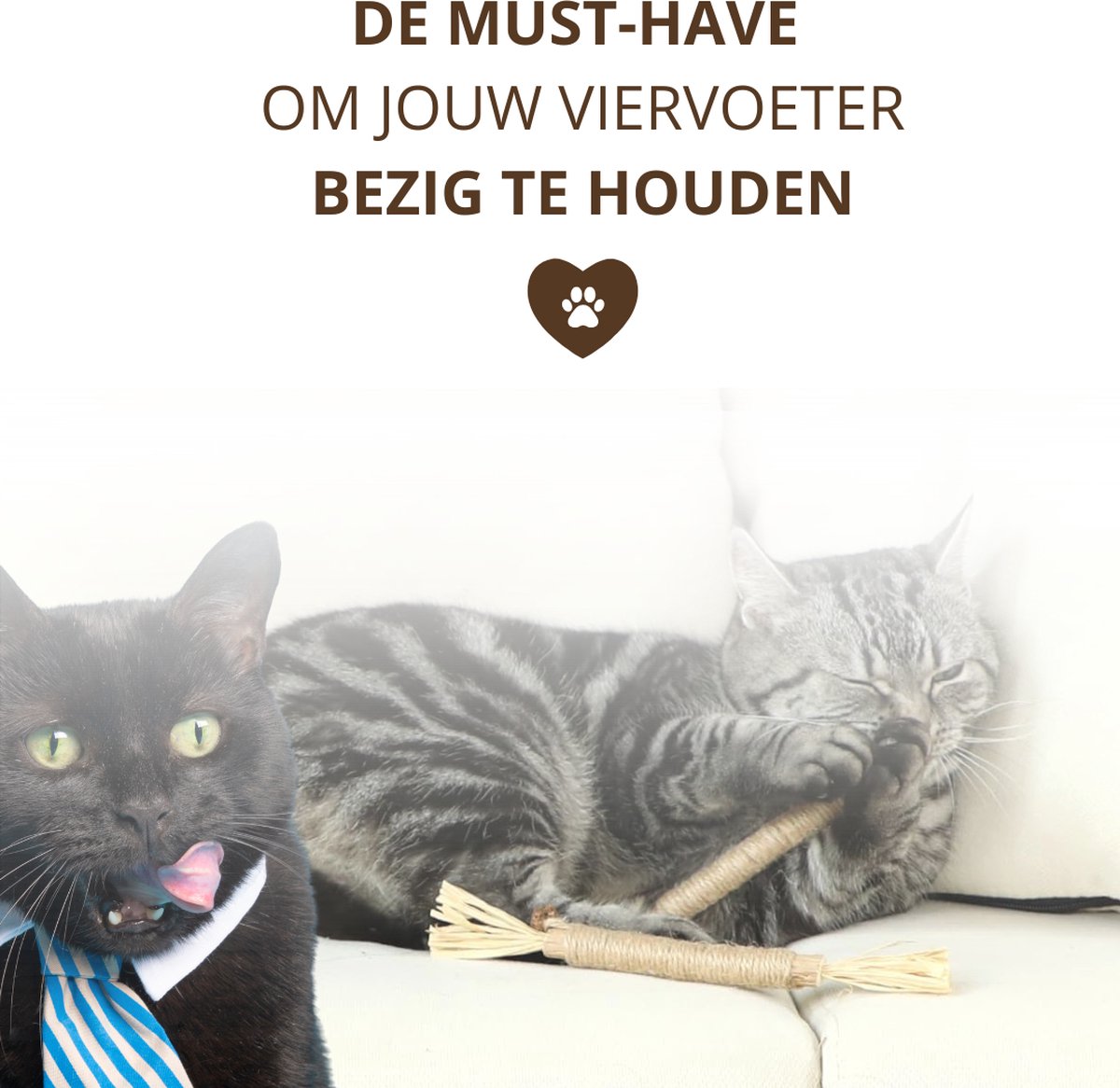 Twenty4seven® Matatabi Stokjes voor Katten - 5 Stuks - 100% Natuurlijk en Eetbaar Kattenspeelgoed - Catnip Effect voor Kat thumbnail 5