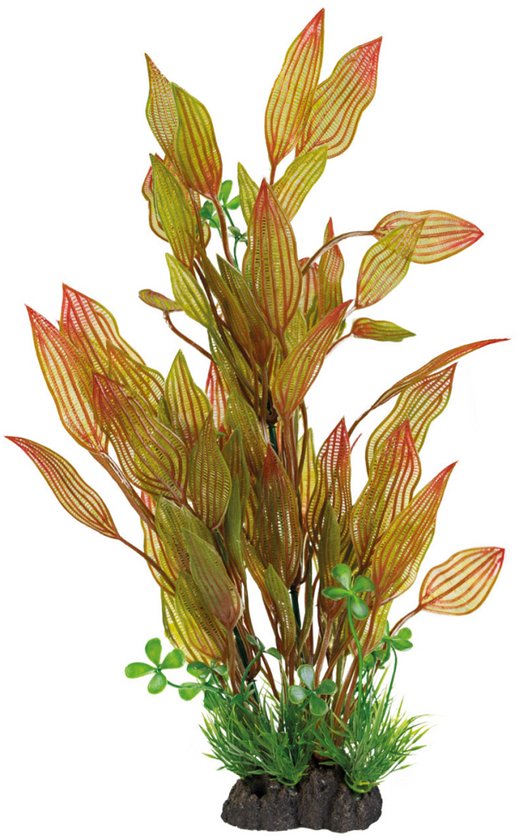 Art Plants 40cm - Superfish Art Plant 40cm Henkelianus