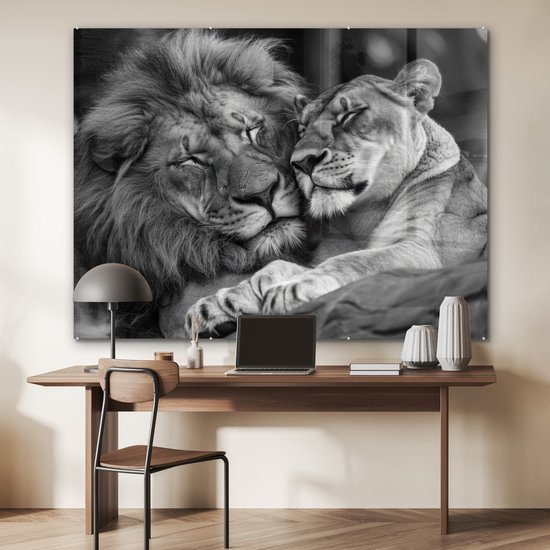 MuchoWow® Glasschilderij 160x120 cm - Schilderij acrylglas - Leeuwen - Dieren - Zwart - Wit - Leeuw - Foto op glas - Muurdecoratie woonkamer - Wanddecoratie slaapkamer - Schilderijen