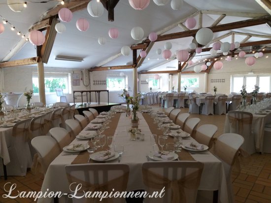 5 x Lanterne rose clair 75 cm - grandes lanternes rose bébé - décoration baby shower - baby shower