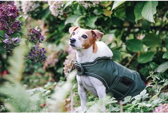 Kentucky hondenjas waterdicht