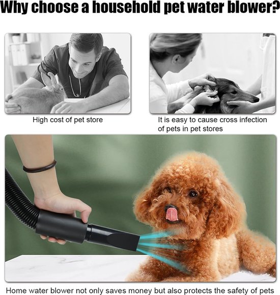 Afbeeldingen die de voordelen van een huishoudelijke waterblazer tonen voor honden.