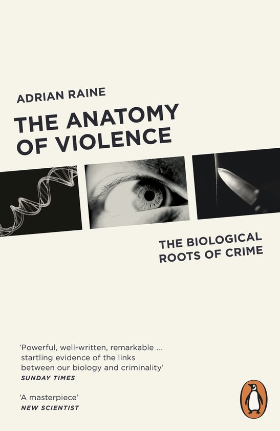 Anatomy Of Violence