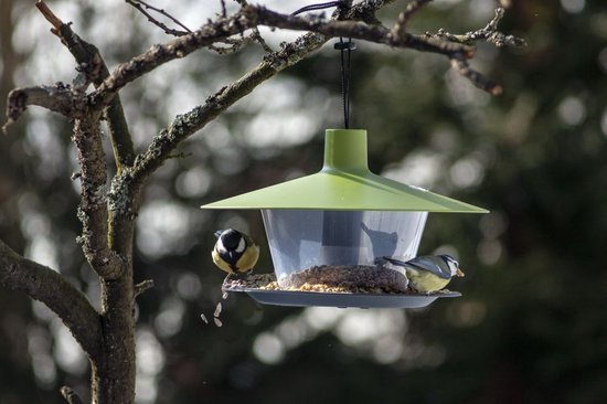 Koolmees en pimpelmees op een groen vogelvoederhuisje in een boom.