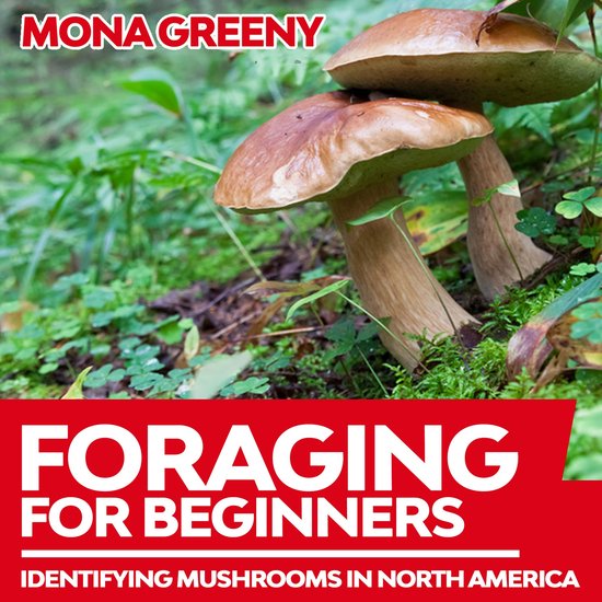 Foraging For Beginners - cover