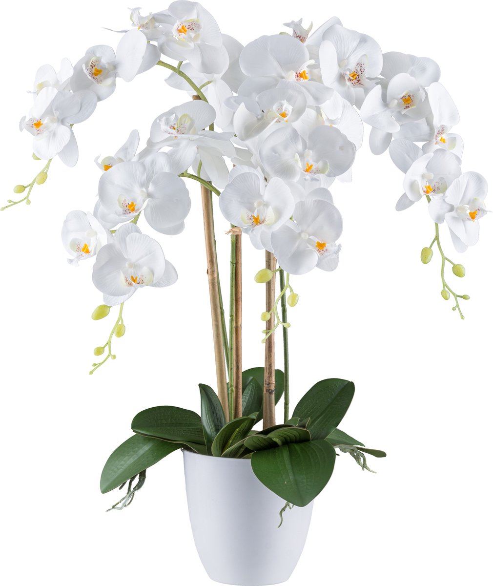 Kopu® Kunstbloem Orchidee 62 cm Wit met witte Pot - Phalenopsis