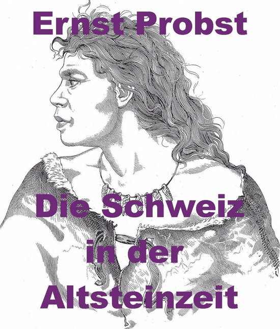 Die Schweiz in der Altsteinzeit - cover