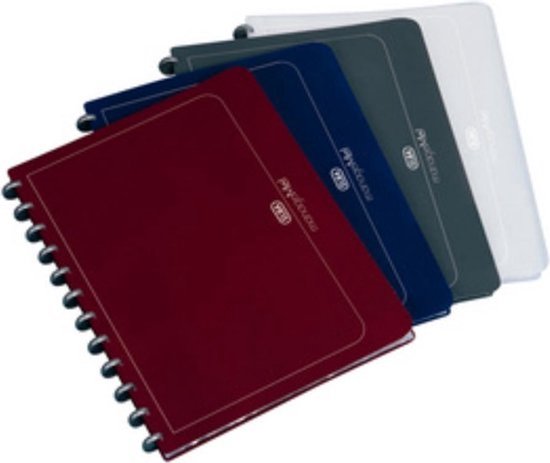 Set van vijf mappen in de kleuren rood, donkerblauw, grijs en wit, met ringband.