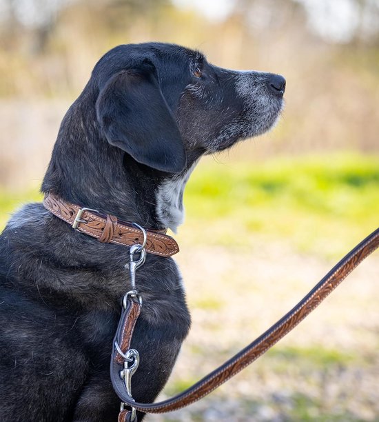 Handgemaakte leren koppelriem voor 2 honden - Dog's Companion