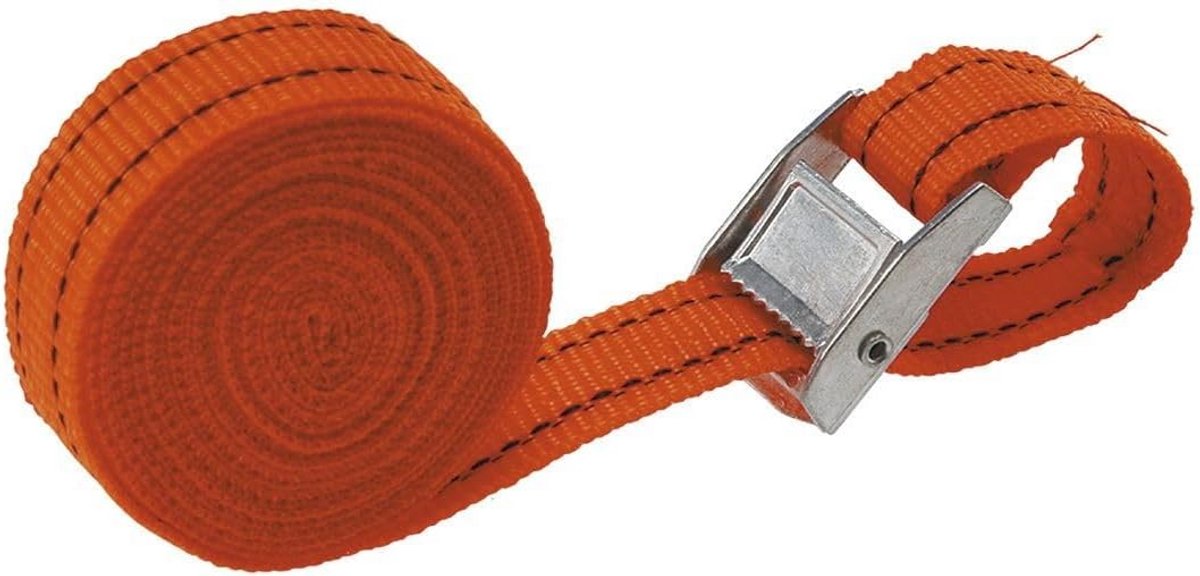 Set van 2 Robuuste Spanbanden met Metalen Gespen - Lengte 2,5m
