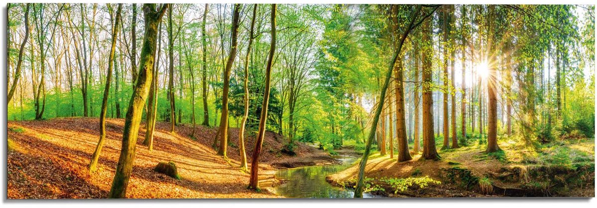 Schilderij Lentebos 1 - 52 x 156 - Hout - REINDERS