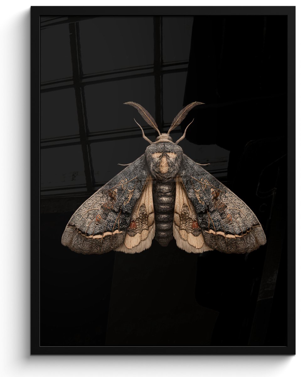 FrameYourWall Poster in lijst - Fotolijst 50x70 cm - Posters - Mot - Bladachtig - Grijs - Posterlijst zwart - Decoratie - Wanddecoratie woonkamer - Muurdecoratie slaapkamer Mot - Grijs