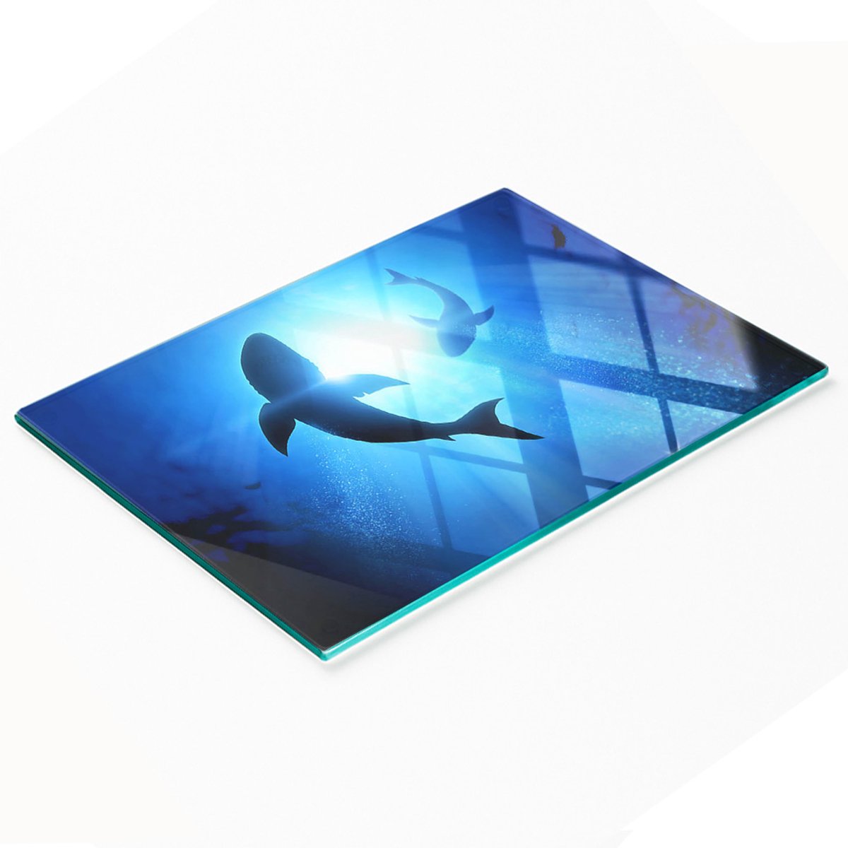 Keukenplank van gehard glas met decoratieve afbeelding van twee haaien, 80x52 cm