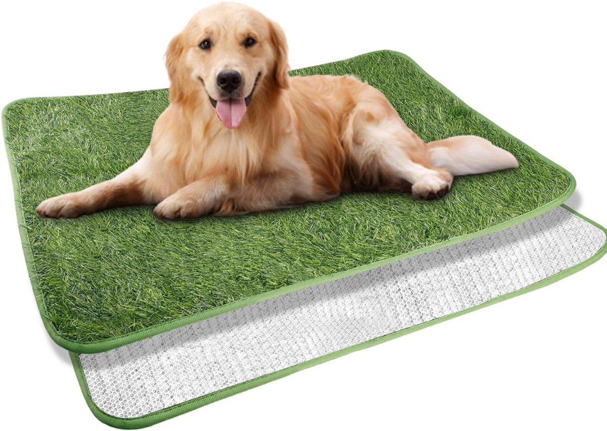 Zyrex® Hondentoilet Kunstgras - Geurafstotend - Honden Wc Outdoor & Indoor - Groen - 70cm x 50cm x 1cm