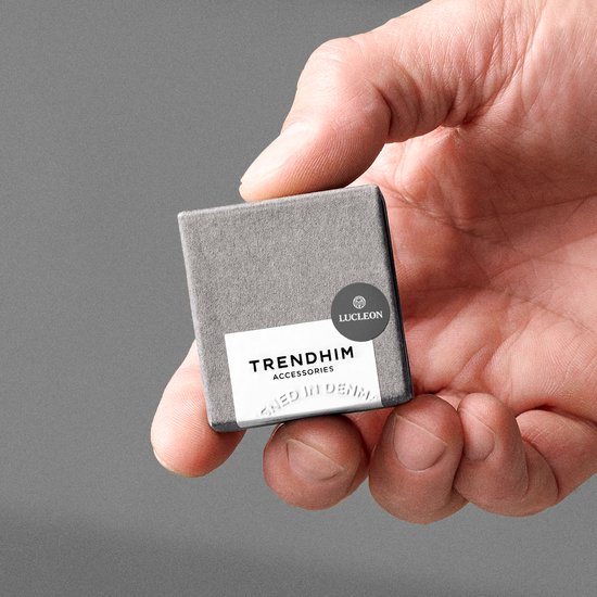 Chevalier rose des vents en acier chirurgical argenté