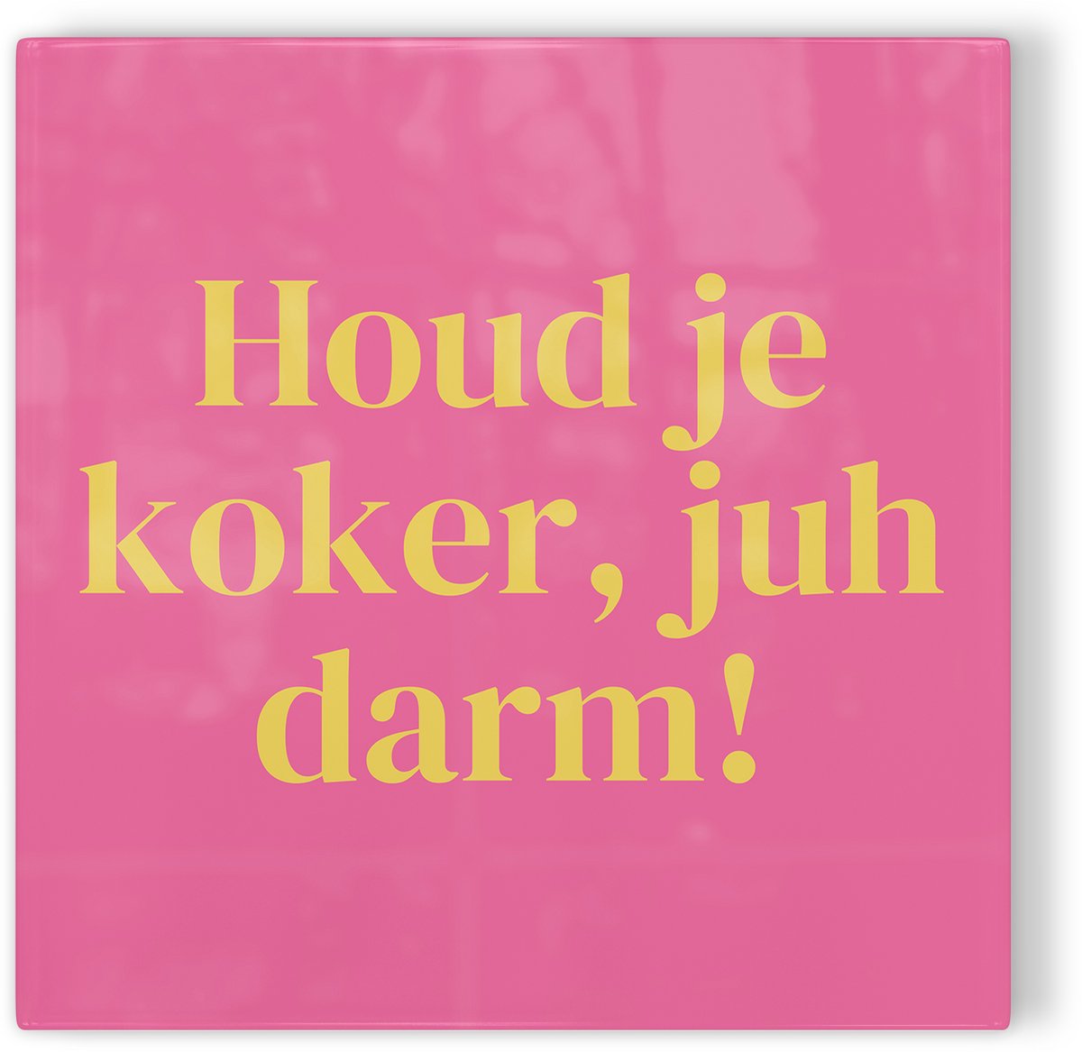 Tegeltje Leiden Houd je koker, juh darm! - roze geel - tegeltje stad - tegeltje met tekst