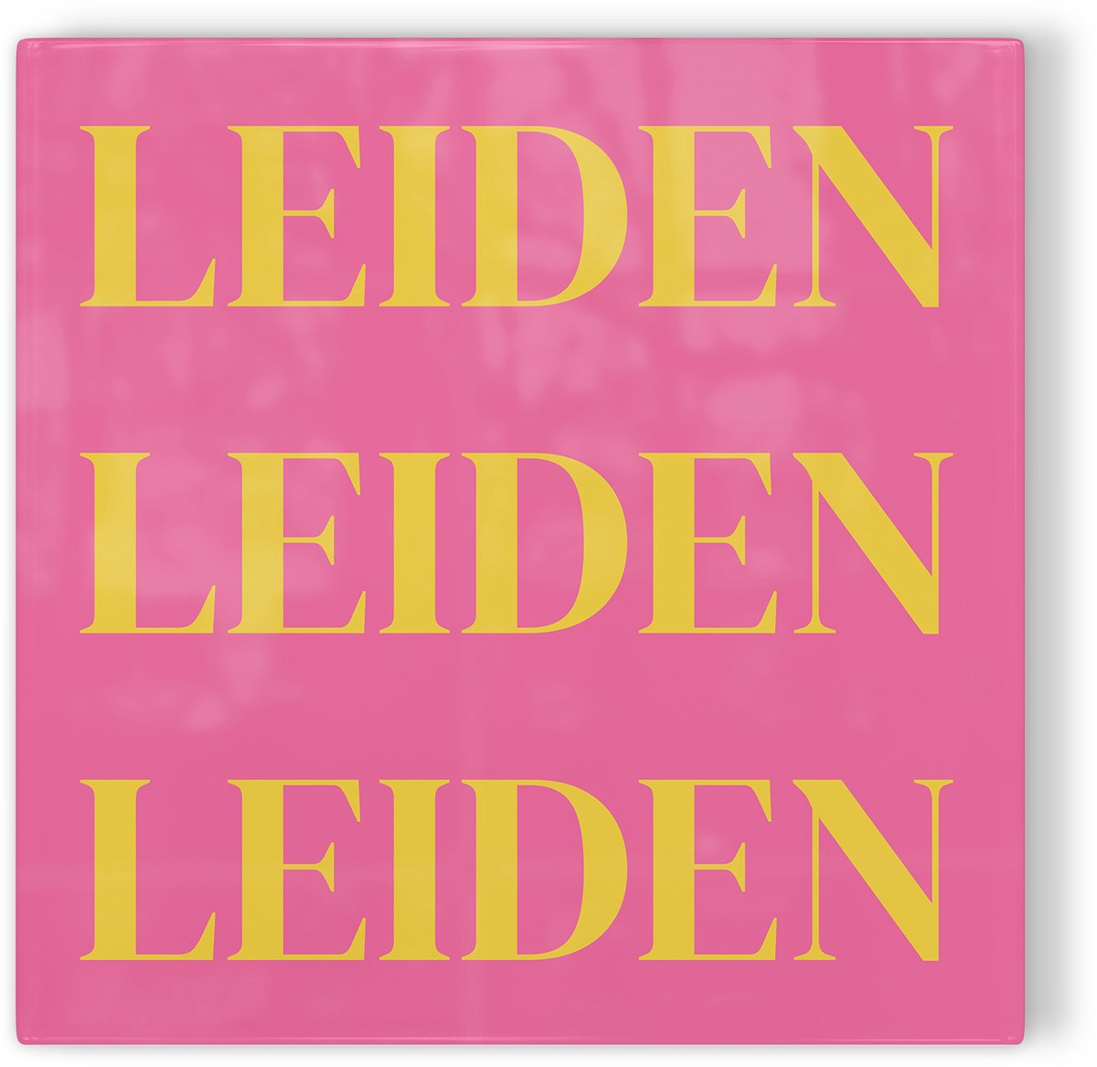 Tegeltje Leiden - roze geel - tegeltje stad - tegeltje met tekst