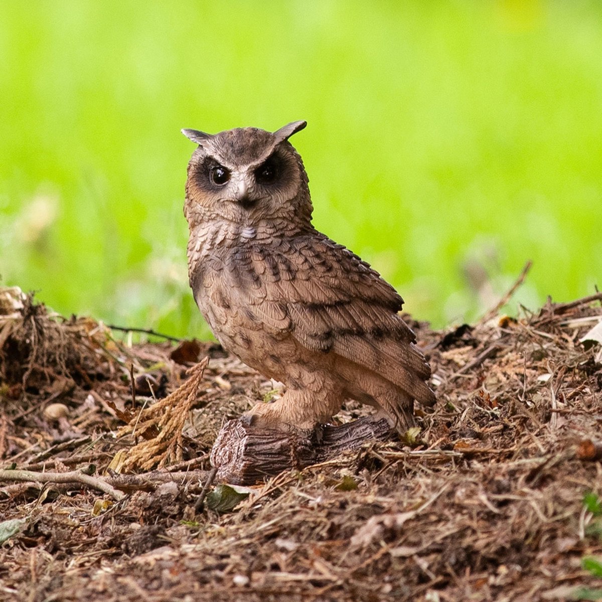 HotAnt Tuinbeeld dieren - Mini oehoe (Polystone) - Voor buiten - Tuin decoratie - Cadeau