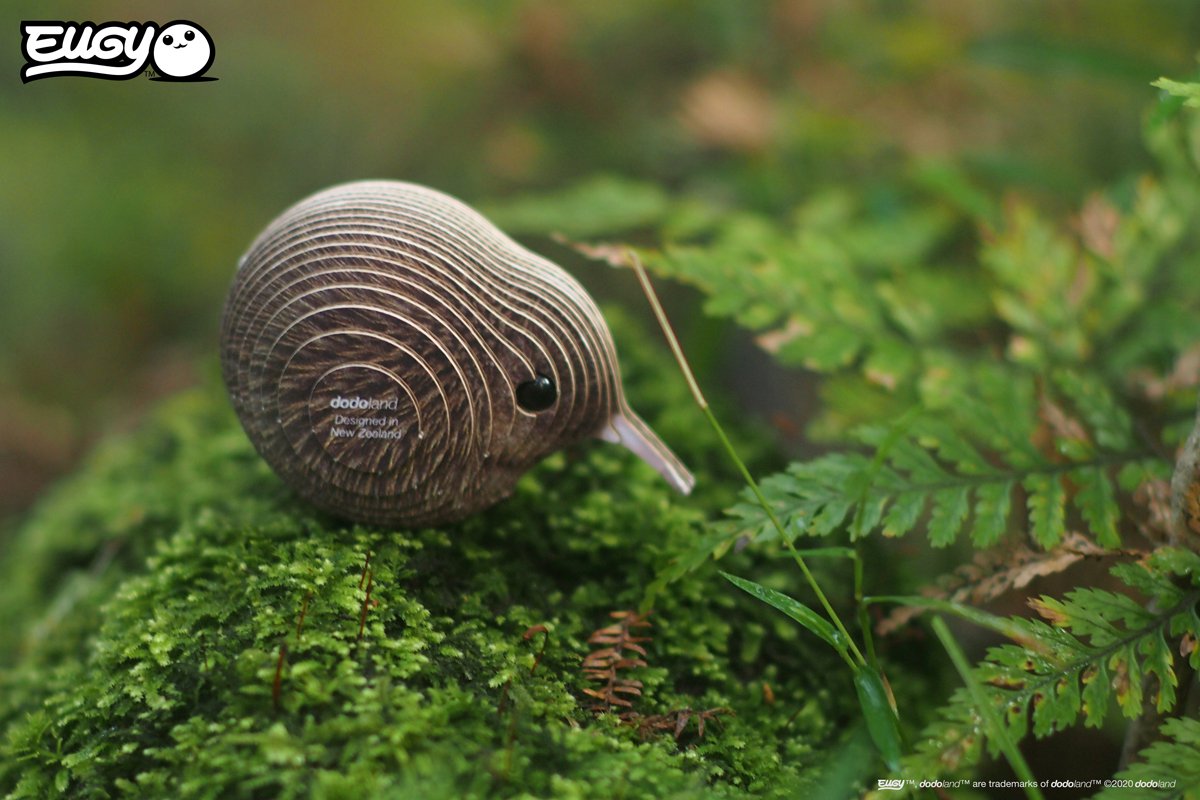 EUGY 3D Puzzel - Kiwi Bruin - Vogels - Duurzaam - Verzamel Ze Allemaal - 6 Jaar — afbeelding 5