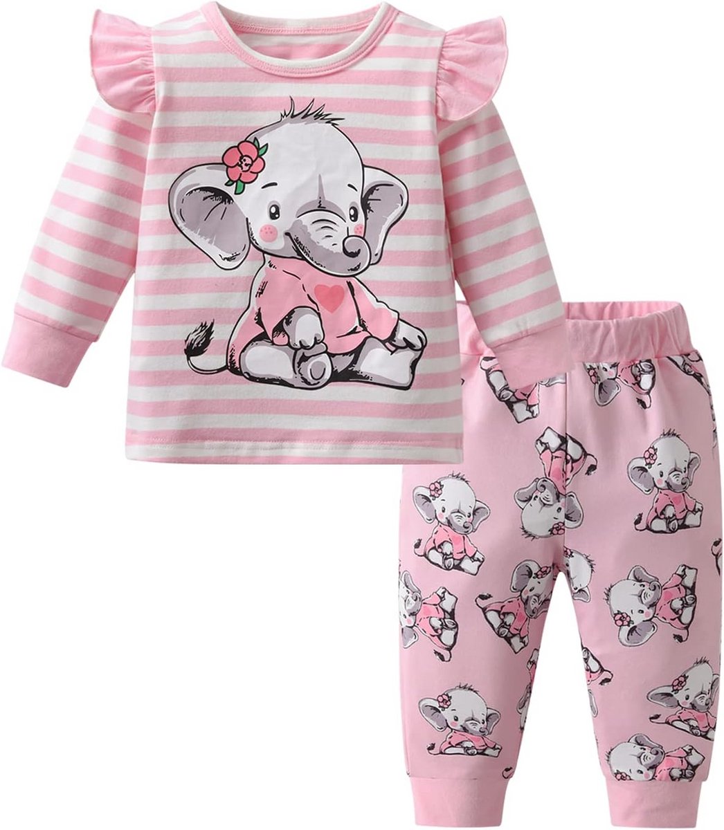 Set Babymeisjeskleding Roze Cartoon Lange Mouwen T-shirt en Broek 2-Delig