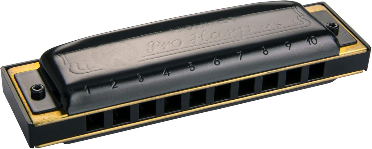 Diatonische Mondharmonica voor Blues en Rock