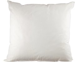 Ergonomisch Latex Kussen - Slaapkussen met Natuurlijke Ondersteuning (60x60 cm)