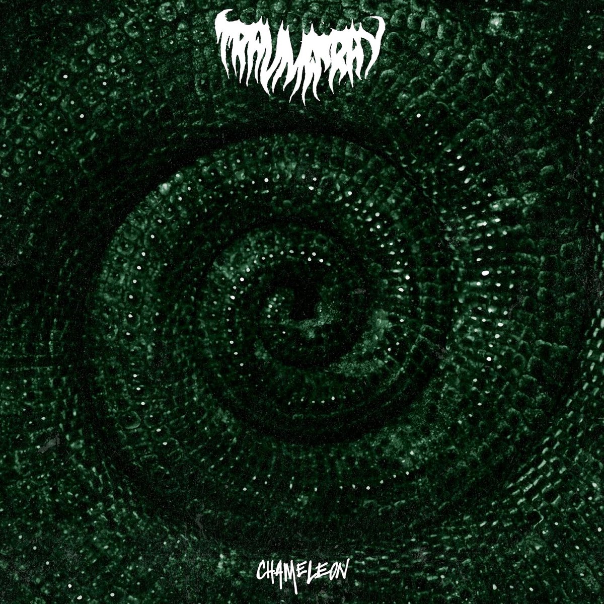 Shoegaze Album met Majestic, Zware Gitaarriffs en Melancholie