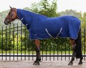 Bruine paard met een donkerblauwe deken, afgewerkt met witte bies en kruissingels.