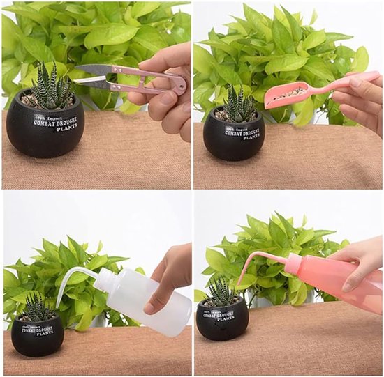 Miniatuur Tuin Tools Set voor Succulenten en Binnenplanten — afbeelding 3