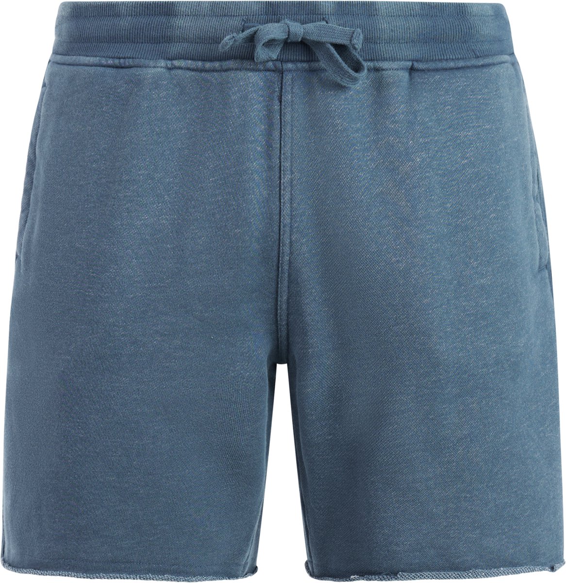 Protest PRTGalvan Korte broek Heren Tailleband elastiek Normale pasvorm Knielengte Blauw