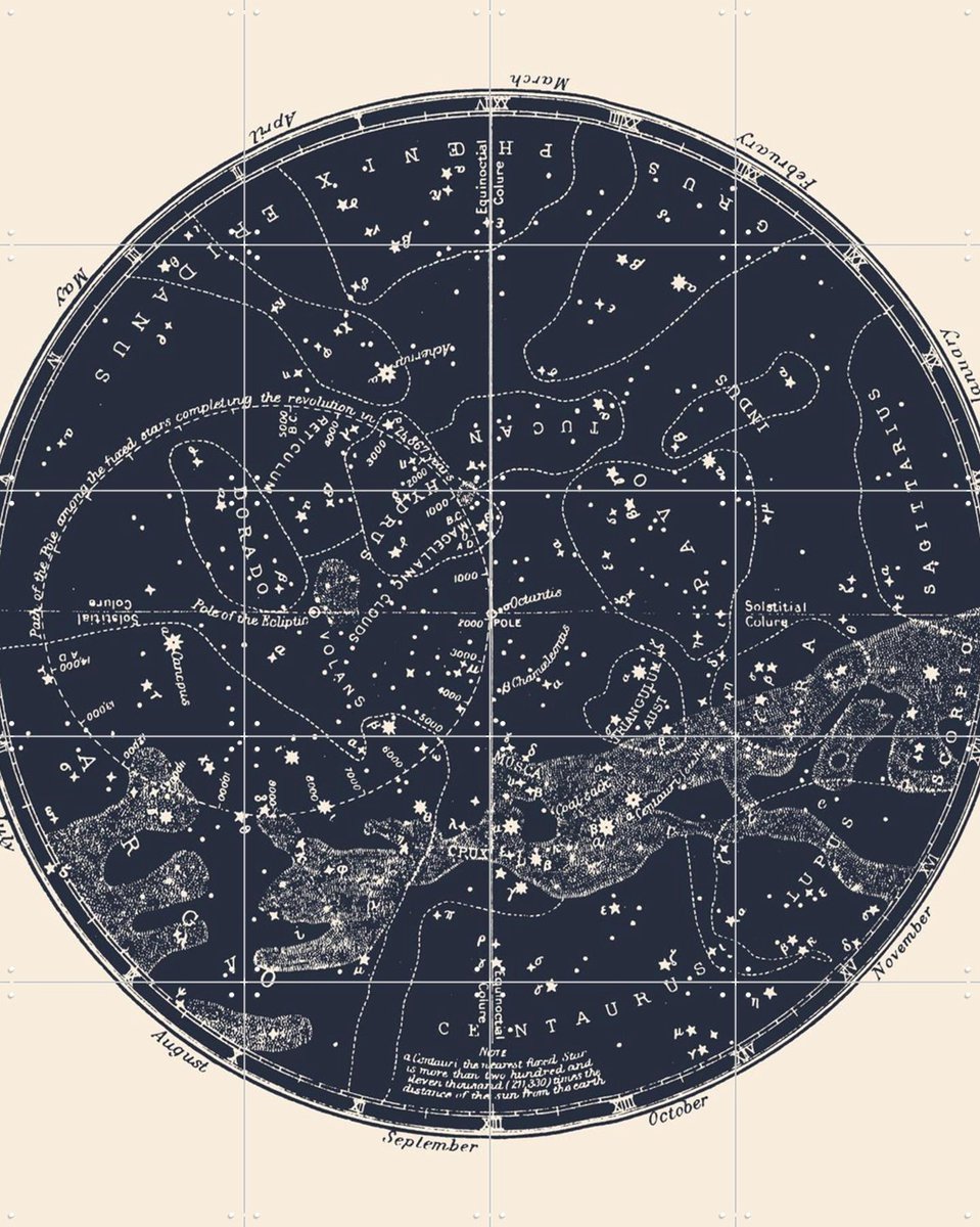 IXXI Southern Constellations, Aster Edition - 80 x 100 cm - Gratis ophangtool - Grote wanddecoratie en posters - Technische Tekening, Vintage