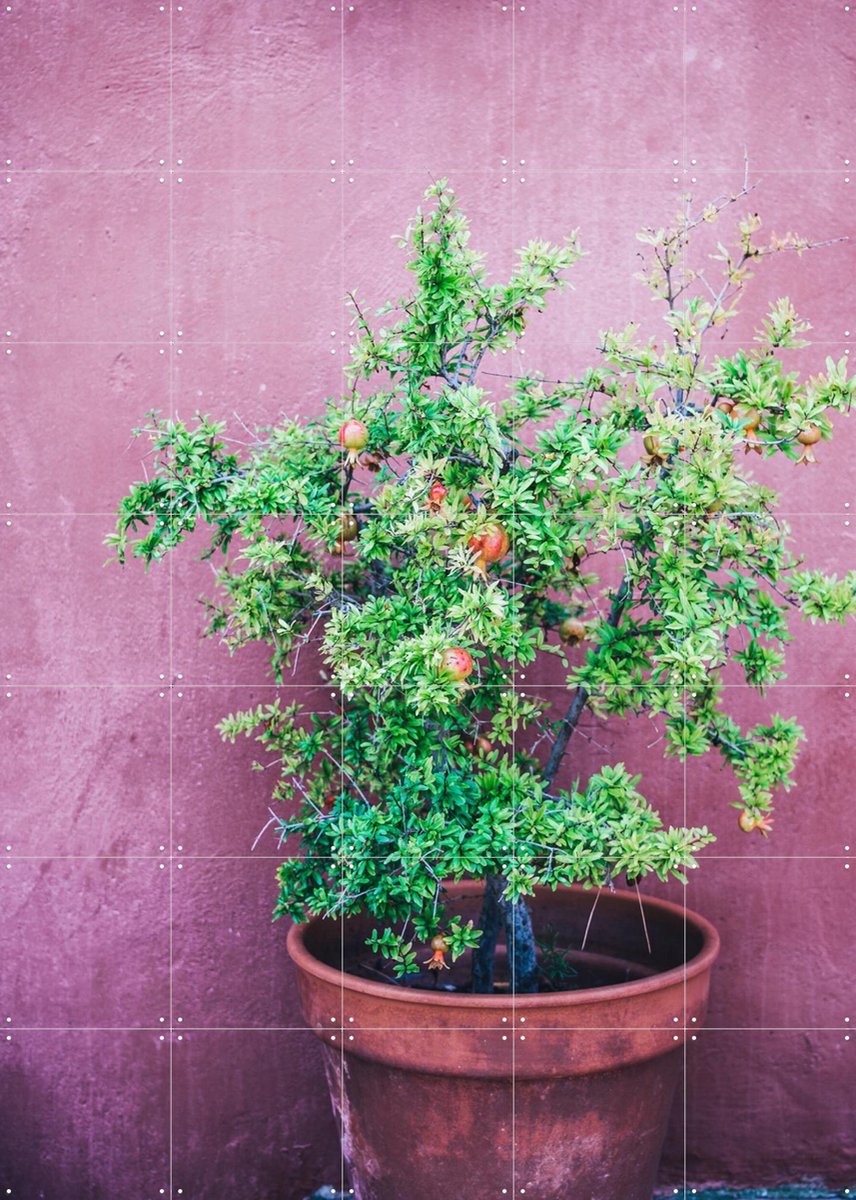 IXXI Purple Pomegranate, Pati Photography - 100 x 140 cm - Gratis ophangtool - Grote wanddecoratie en posters - Fotografie, Naturalisme, Kleurrijk