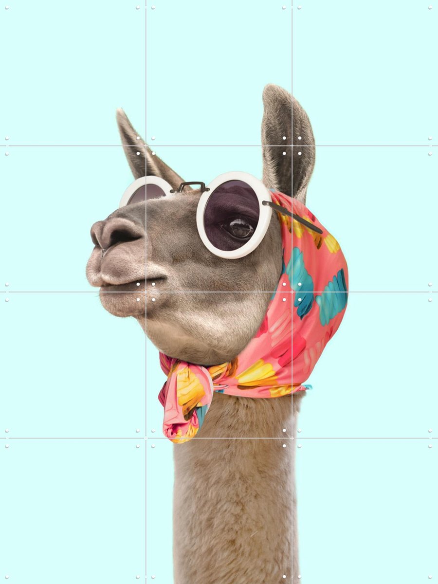 IXXI Fashion Lama, Paul Fuentes - 60 x 80 cm - Gratis ophangtool - Grote wanddecoratie en posters - Fotografie, Kleurrijk, Illustraties, Digitale