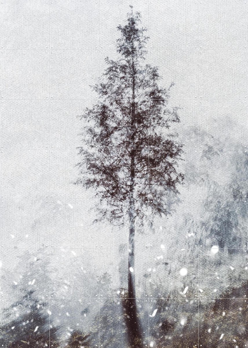 IXXI Winter Tree, Photolovers - 100 x 140 cm - Gratis ophangtool - Grote wanddecoratie en posters - Fotografie, Minimalisme, Woonkamer, Slaapkamer