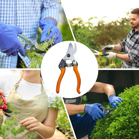 Tuinsnoeischaren - Handgereedschap - Takken Snoeien - Robuust Roestvrij Staal - 22 x 6 x 3 cm — afbeelding 4