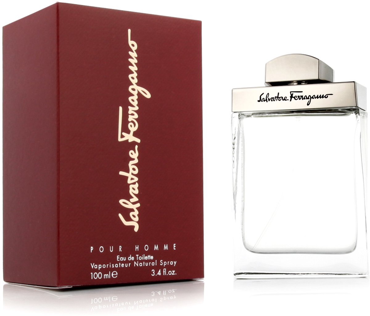 Salvatore ferragamo pour homme - 100 ml - eau de toilette