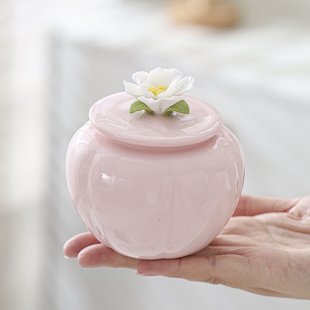 Small mini keramische pot - Opslag afdichtende pot - 200ml - Keramiek - Mini Urn Keramiek