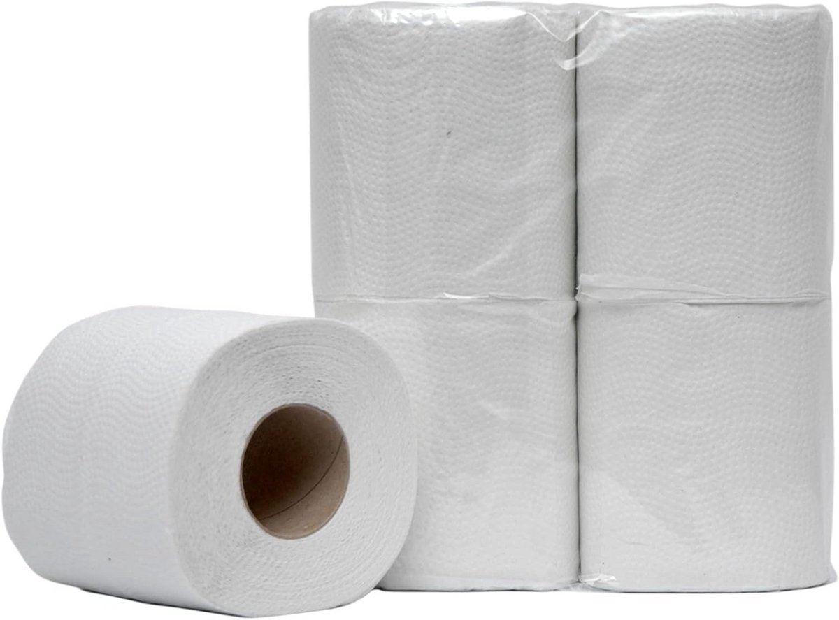 Toiletpapier 2-laags 200 vellen 48 rollen wit gerecycled met reliëf