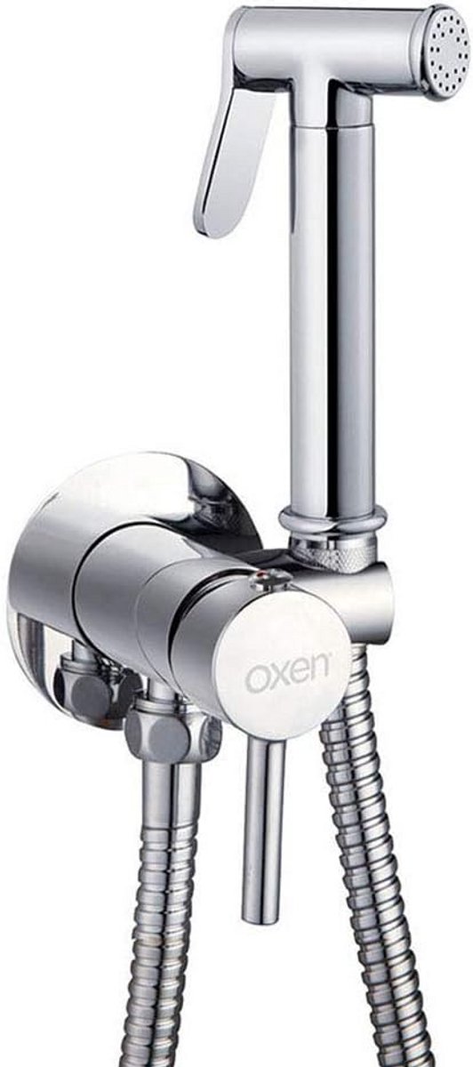 WC-kraan met handdouche voor bidet - eengreepsmengkraan voor intieme hygiëne met koud en w