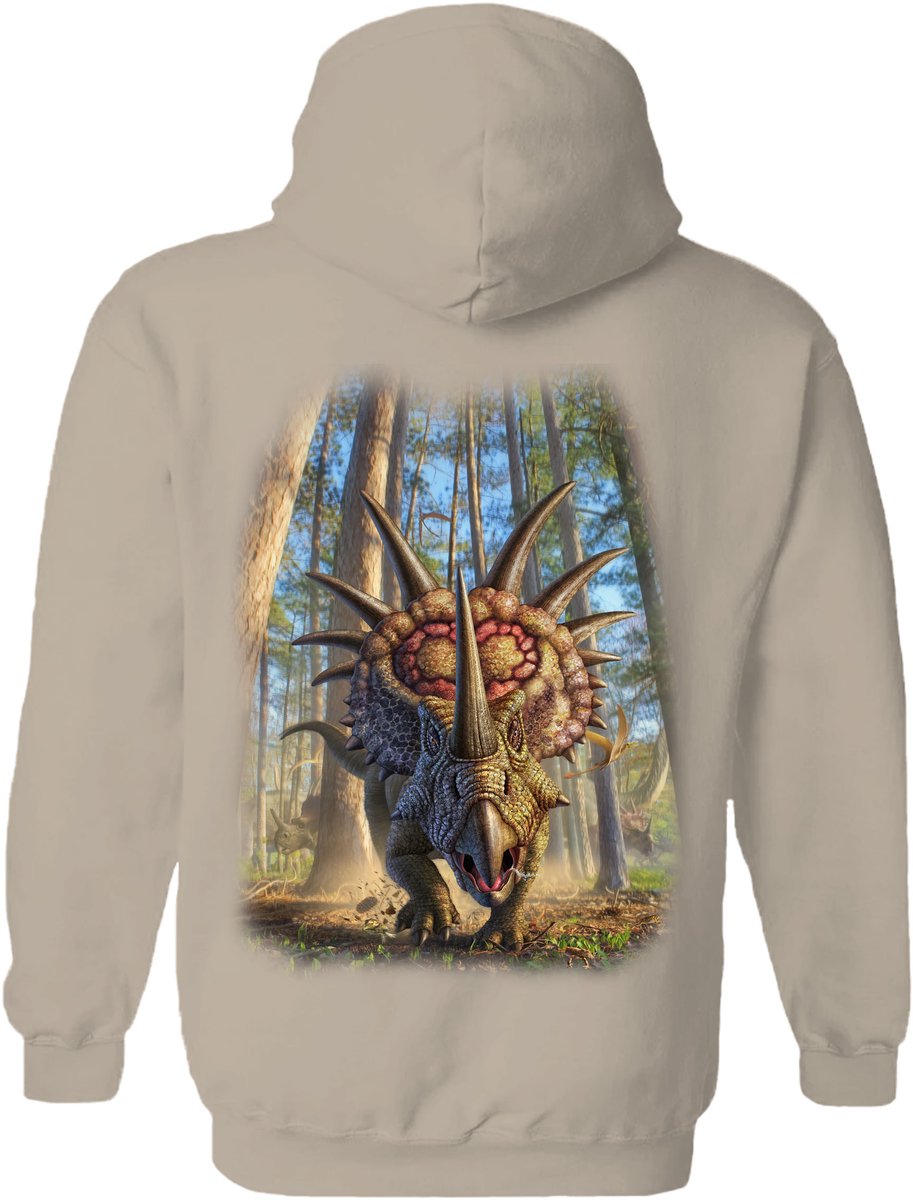 Dino Styracosaur The Coloured House Hoodie XL