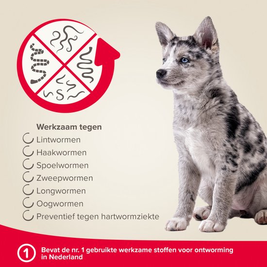 Beaphar Milquestra Kleine Hond/Puppy - Ontwormingsmiddel - 2 Tabletten