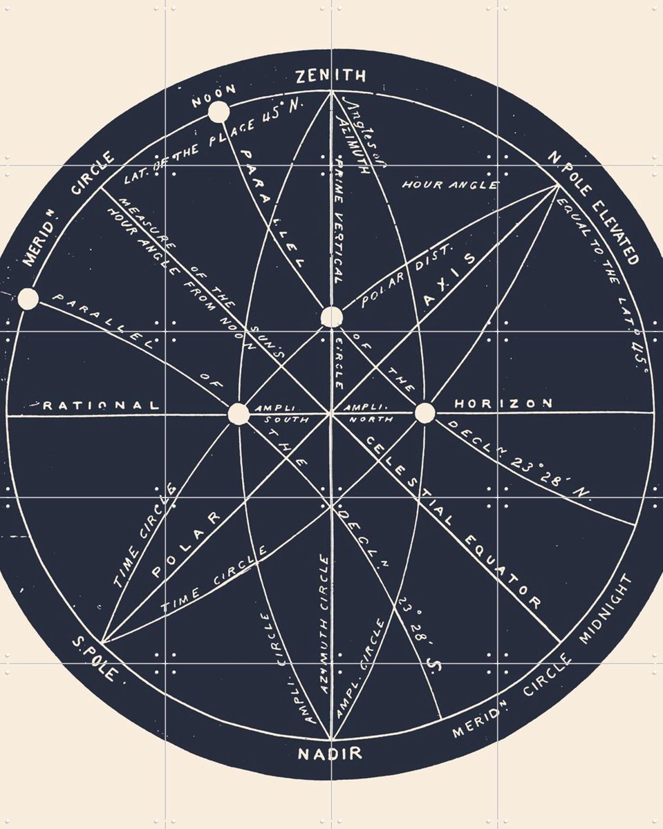 IXXI Meridians, Aster Edition - 80 x 100 cm - Gratis ophangtool - Grote wanddecoratie en posters - Geometrische Kunst, Vintage, Technische Tekening
