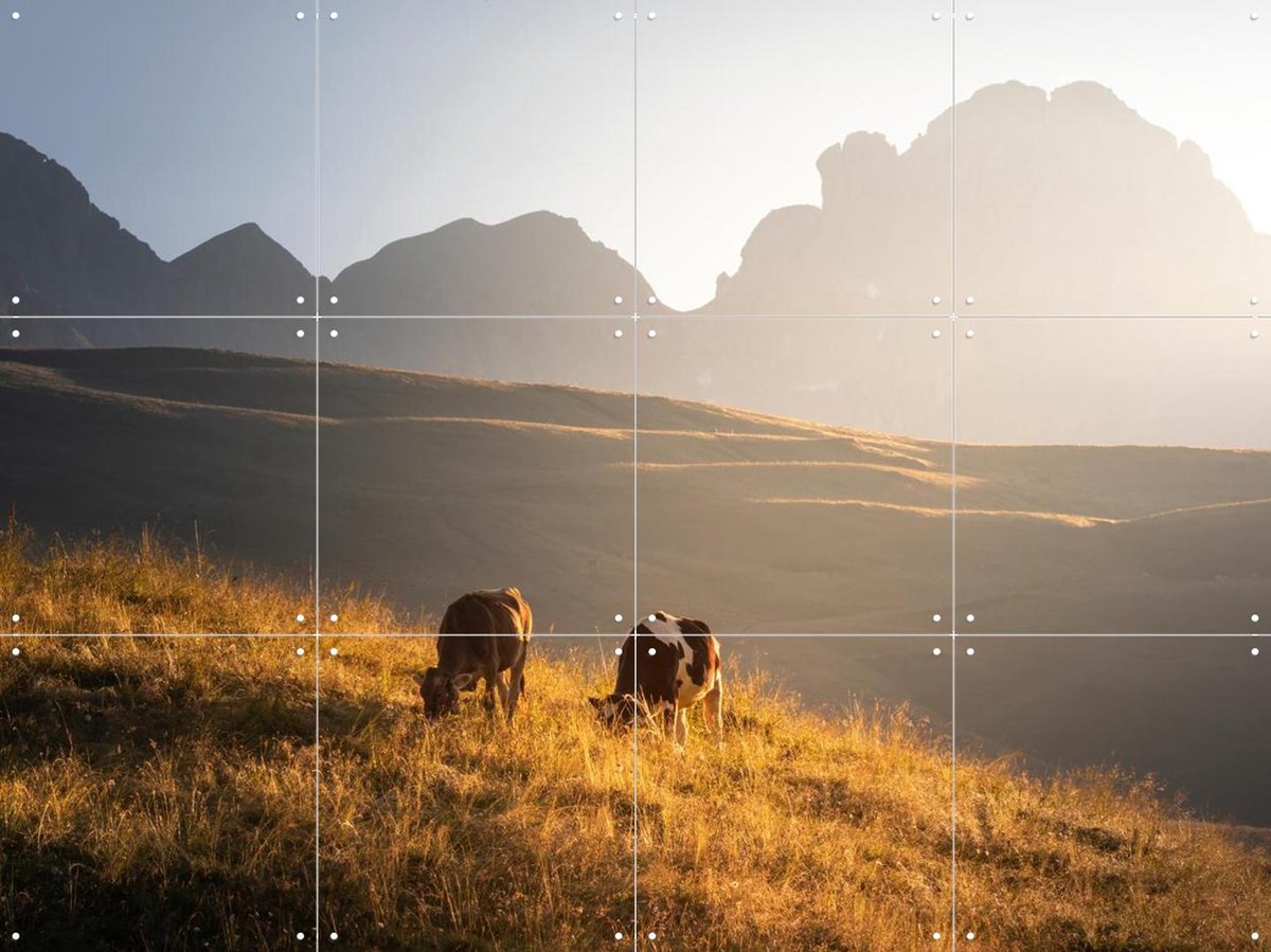 IXXI Trentino Cows in the Dolomites, Claire Droppert - 80 x 60 cm - Gratis ophangtool - Grote wanddecoratie en posters - Realisme, Fotografie