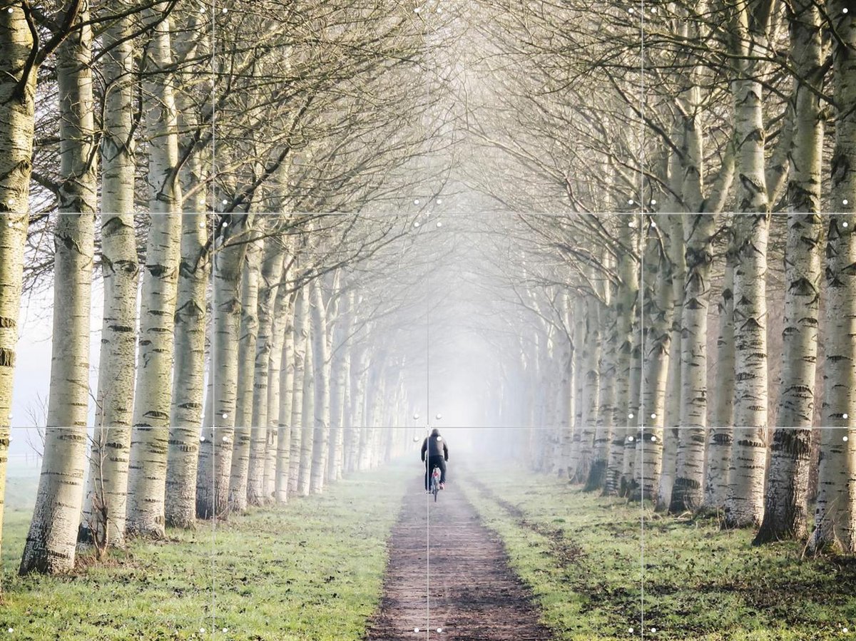 IXXI One Man Two Wheels, Claire Droppert - 80 x 60 cm - Gratis ophangtool - Grote wanddecoratie en posters - Fotografie, Naturalisme, Realisme, Gang