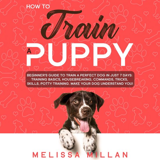 How to Train a Puppy - cover