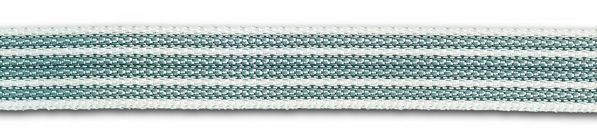 Sterke Polypropyleen Rolsluiting Band - 285 kg Draagvermogen - 20 mm Breed - 5,5 Meter Lang