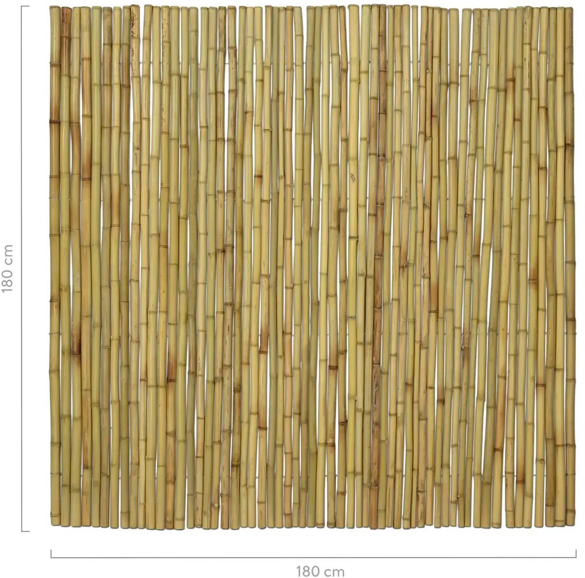 Masters of Bamboo® Bamboemat Large - 180 x 180 cm - Naturel - Bamboe schutting op rol - Bamboe mat
