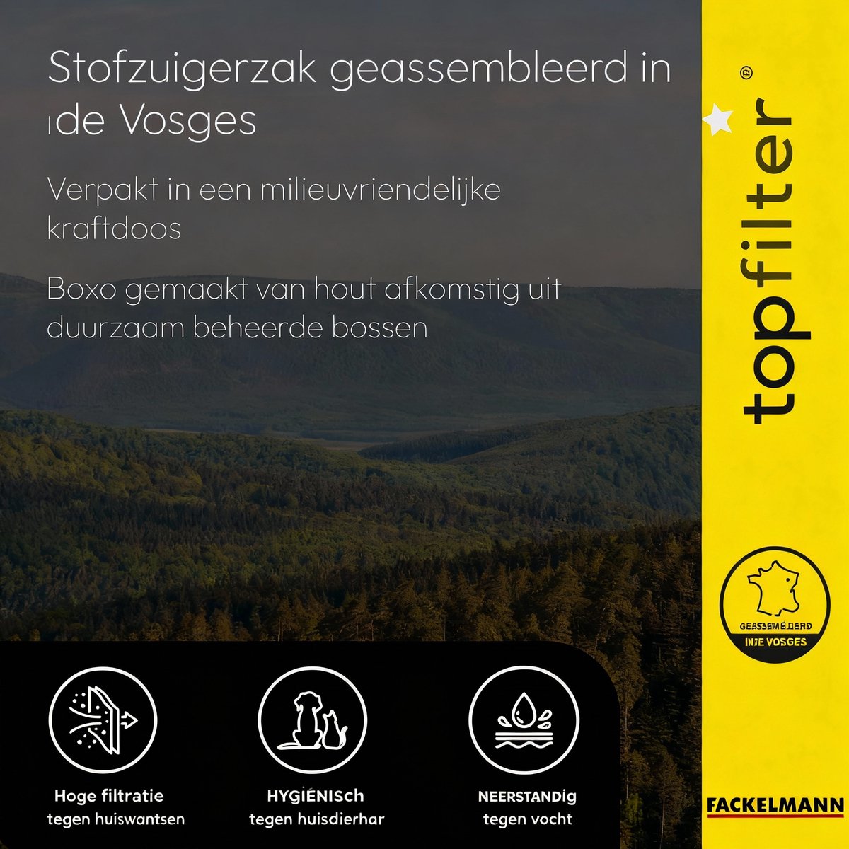Set van 4 Philips TopFilter Premium stofzuigerzakken