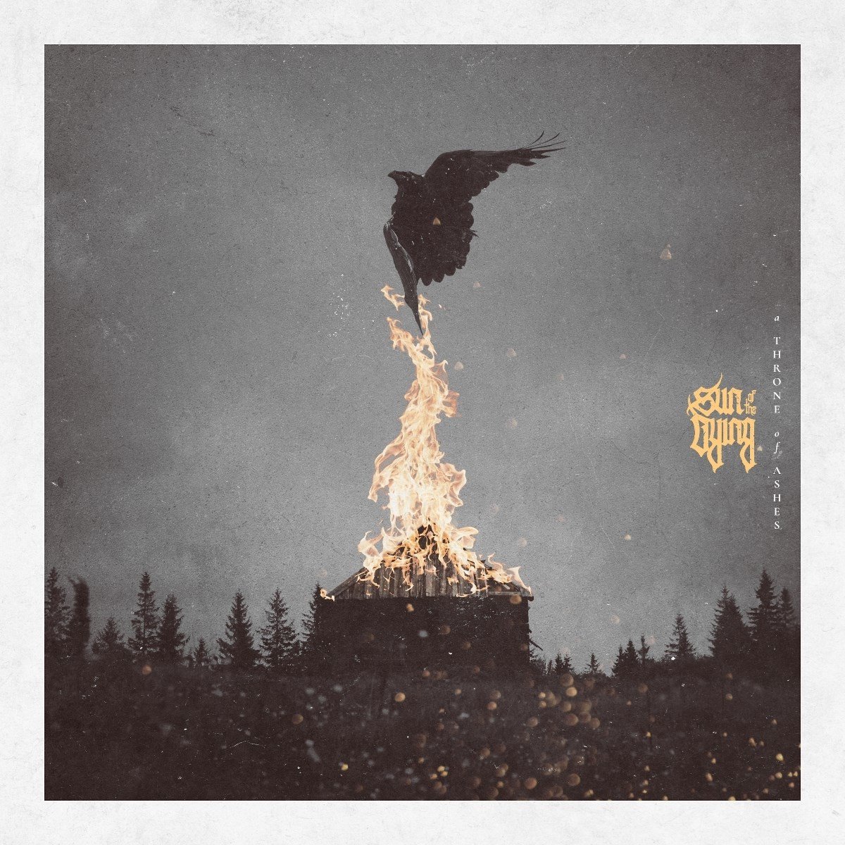 Sun Of The Dying - A Throne Of Ashes